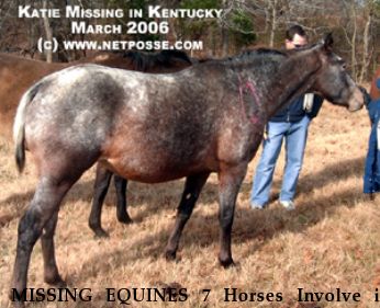 MISSING EQUINES 7 Horses Involve in Court Dispute Near Morgantown, KY, 42261